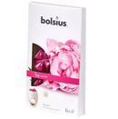 Waxmelts Aromatic Bolsius True Scents 6άδα - Παιώνια