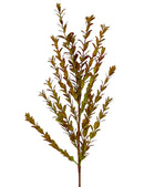 Κλαδί Κυπαρισόφυλλο 67cm - Καφέ