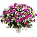 Βάζα για Μνήμα Μαργαρίτα και Χαμομήλι (THIM32054) - Μωβ