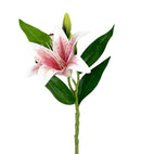 Κλαδί Λίλιουμ 37cm - Δίχρωμο