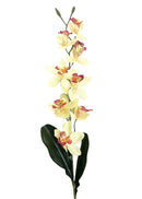 Κλαδί Ορχιδέας 78cm - Σε Διάφορα Χρώματα