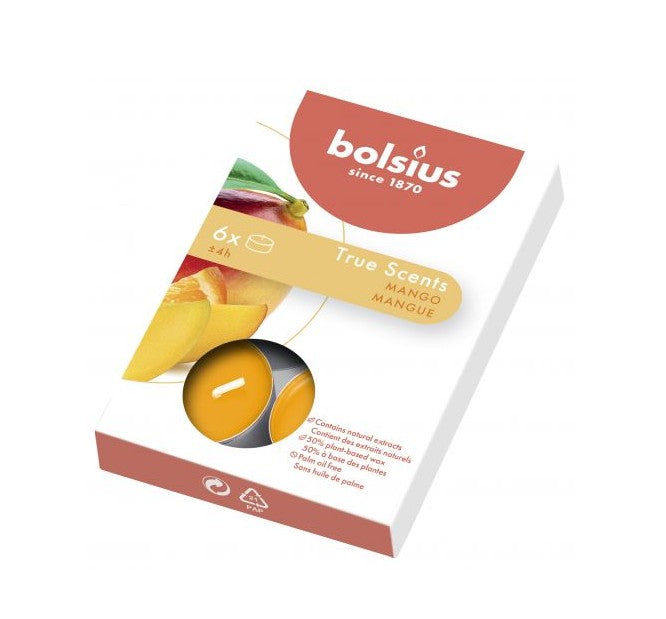 Αρωματικό Ρεσώ 4 Ωρών Bolsius True Scents 6άδα - Mango