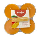 Αρωματικό Ρεσώ 8 Ωρών Clear Cup Bolsius True Scents 8άδα - Μάνγκο