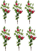 Κλαδί Ρόδι 76m THIM200313 Κιβώτιο 6τμχ