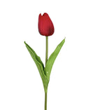 Κλαδί Τουλίπα 33cm - Κόκκινο