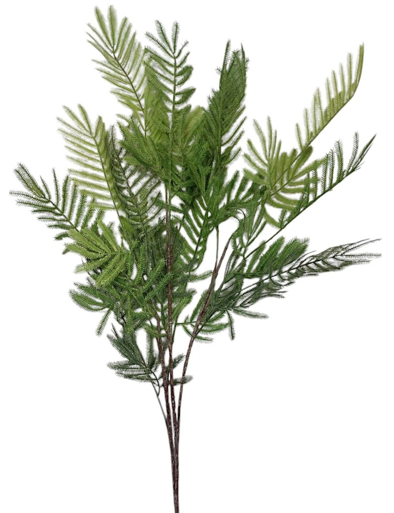 Μιμόζα Πρασινάδα 90cm (THIM10257)