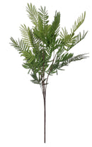 Μιμόζα Πρασινάδα 90cm (THIM10257)