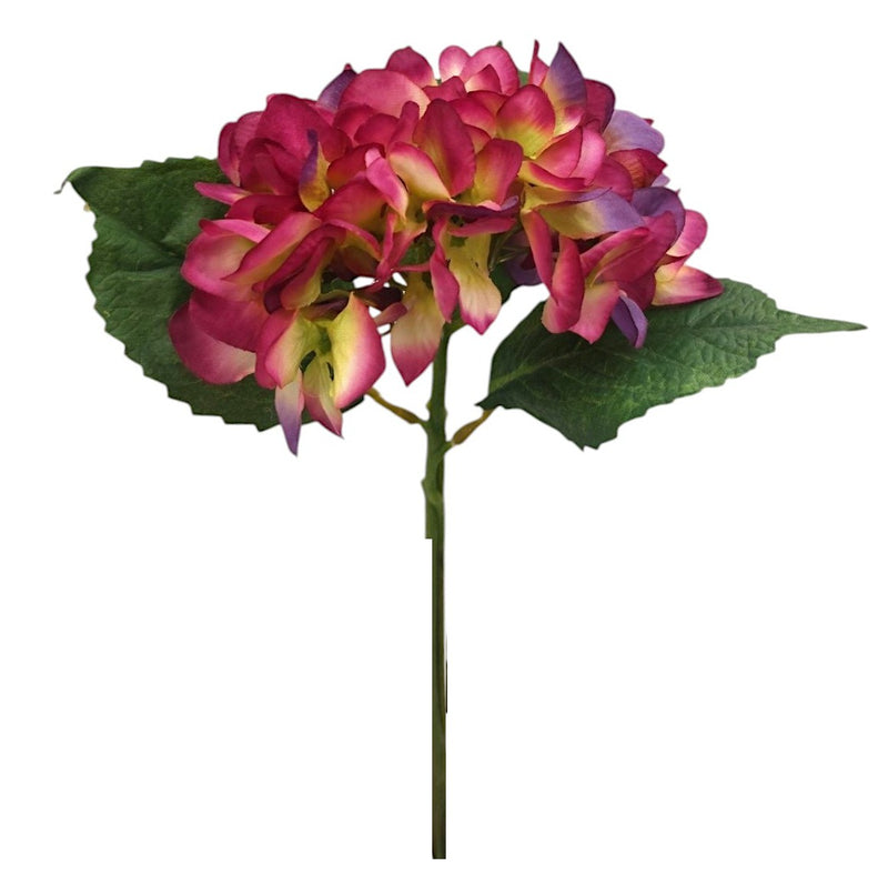 Κλαδί Ορτανσίας 32cm - Φούξια