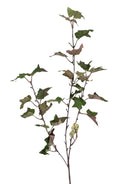 Κλαδί Κισσός 81.5cm - Πράσινο