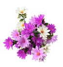 Μπουκέτο Μαργαρίτες 46cm (ΤΗΙΜ41022-14) - Μωβ