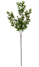 Φασκόμηλο Φυλλωσιά 66cm (THIM10079) - Πράσινο