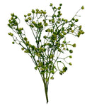 Κλαδί Βαξ 74cm (THIM10164) - Πράσινο