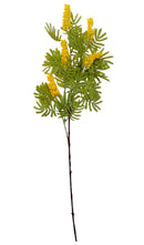 Μιμόζα Ανθισμένη Φυλλωσιά 90cm (THIM10257) - Κίτρινο