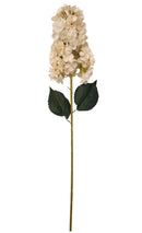 Κλαδί Ζουμπούλι 80cm THIM23319 Κιβώτιο 6τμχ