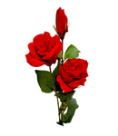 Τριαντάφυλλο Αναρριχώμενο Τριπλό 72cm (THIM2336) - Κόκκινο