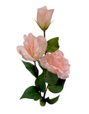 Τριαντάφυλλο Αναρριχώμενο Τριπλό 72cm (THIM2336) - Ροζ