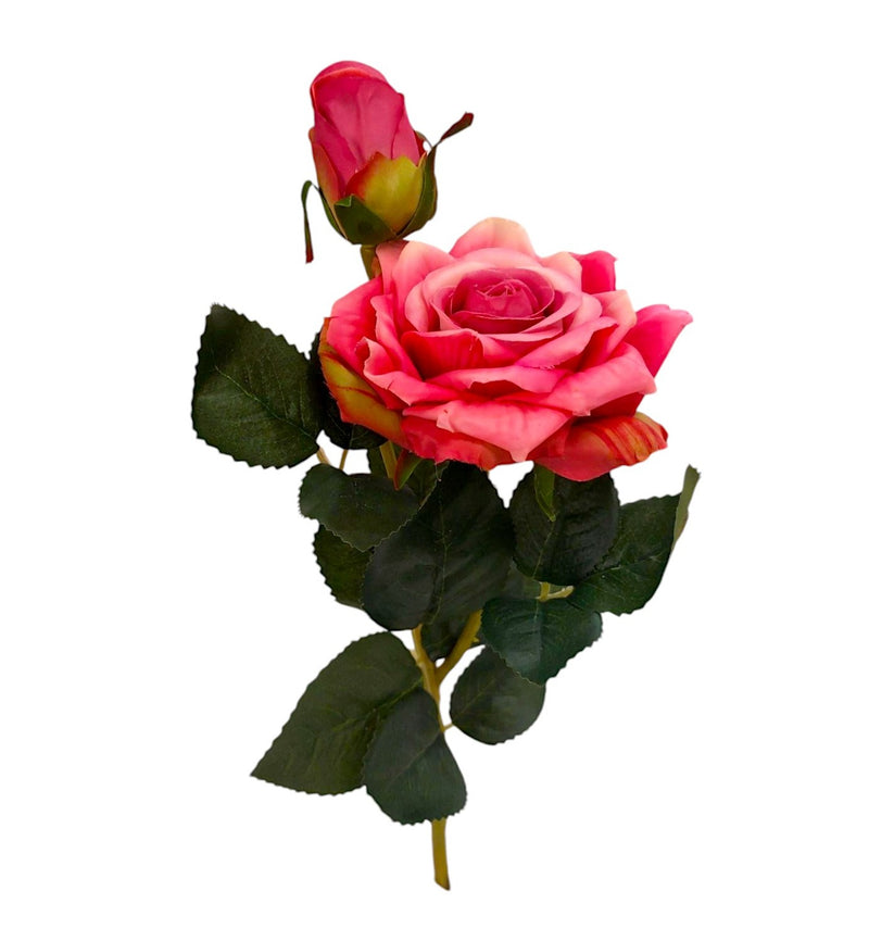 Τριαντάφυλλο & Μπουμπούκι Premium 48cm (THIM30128) - Φούξια