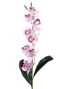Κλαδί Ορχιδέας 78cm - Σε Διάφορα Χρώματα