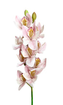 Κλαδί Ορχιδέας 73cm - Ροζ