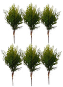 Μπουκέτο Ασπάραγος Πρασινάδα 65cm THIM4039 Κιβώτιο 6τμχ