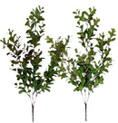 Φασκόμηλο Φυλλωσιά 66cm THIM10079 Κιβώτιο 6τμχ