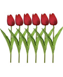 Κλαδί Τουλίπα 33cm THIM30169 Κιβώτιο 10τμχ