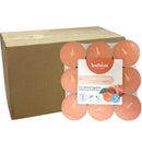 Αρωματικό Ρεσώ 4ωρών Bolsius True Scents 18άδα - Ροδάκινο Κιβώτιο 8τμχ