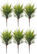 Μπουκέτο Ασπάραγος Πρασινάδα 65cm THIM4039 Κιβώτιο 6τμχ