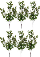 Φασκόμηλο Φυλλωσιά 66cm THIM10079 Κιβώτιο 6τμχ