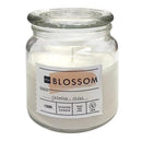 Αρωματικό Κερί Σε Ποτήρι 110/95mm Hema Blossom - Γιασεμί & Τριαντάφυλλο
