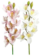 Κλαδί Ορχιδέας 73cm THIM4028 Κιβώτιο 6τμχ