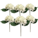 Κλαδί Ορτανσίας 36cm THIM4021 Κιβώτιο 6τμχ