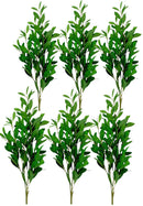 Κλαδί Ρούσκος Πρασινάδα 100cm THIM10034 Κιβώτιο 6τμχ