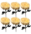 Τριαντάφυλλο Εκατονταφυλλο 43cm THIM2331 Κιβώτιο 6τμχ