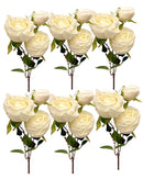 Τριαντάφυλλο Princess Τριπλό 65cm THIM30268 Κιβώτιο 6τμχ