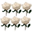 Τριαντάφυλλο Εκατονταφυλλο 43cm THIM2331 Κιβώτιο 6τμχ