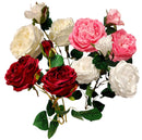 Τριαντάφυλλο Εκατονταφυλλο Τριπλό 65cm THIM2332 Κιβώτιο 6τμχ