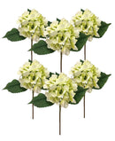 Κλαδί Ορτανσίας 36cm THIM4021 Κιβώτιο 6τμχ