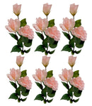 Τριαντάφυλλο Αναρριχώμενο Τριπλό 72cm THIM2336 Κιβώτιο 6τμχ