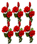 Τριαντάφυλλο Αναρριχώμενο Τριπλό 72cm THIM2336 Κιβώτιο 6τμχ