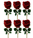 Τριαντάφυλλο Εκατονταφυλλο 43cm THIM2331 Κιβώτιο 6τμχ