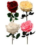 Τριαντάφυλλο Εκατονταφυλλο 43cm THIM2331 Κιβώτιο 6τμχ