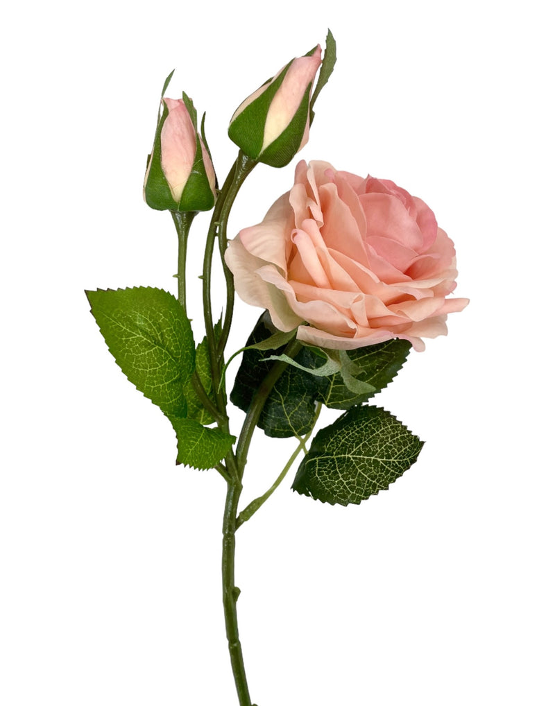 Κλαδί Τριαντάφυλλο 43cm - Σομόν