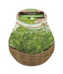 Κερί Σιτρονέλα Σε Γυάλινο Δοχείο 104/99 Bolsius - Βασιλικός