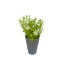 Τεχνητό Φυτό Ibergarden Διαστάσεων 12x12x23cm σε Γκρι Γλαστράκι - Λευκό(55299)