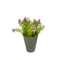 Τεχνητό Φυτό Ibergarden Διαστάσεων 12x12x23cm σε Γκρι Γλαστράκι - Ροζ(55299)