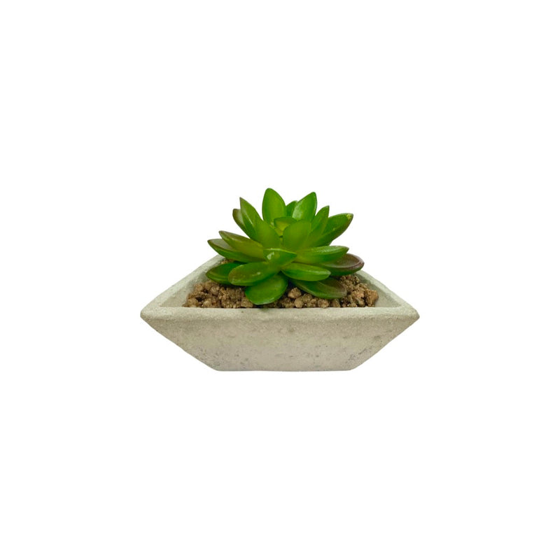 Τεχνητό Φυτό Ibergarden Διαστάσεων 8x11,5x11,50cm σε Γκρι Γλαστράκι Παχύφυτo - (1626)