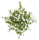 Μπουκέτο Σύνθεση Ευκάλυπτος με Άνθος 30cm - Λευκό