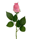 Κλαδί Τριαντάφυλλο 46cm - Ροζ