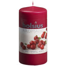 Αρωματικό Κερί Κορμός Bolsius Aromatic 120/60mm - Wild Cranberry